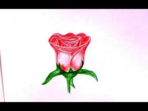 480x360 How To Draw An Easy Rose For Kids Let's Draw Rose Flower