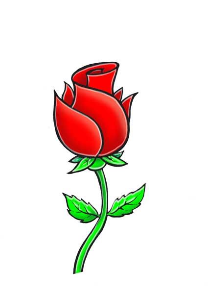425x600 How To Draw A Rose