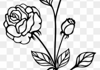200x140 Rose Black And White Drawing Of Clipart Comfortable Roses Flawless
