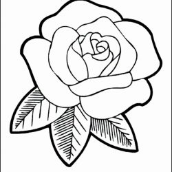 250x250 Rose Tattoos And Drawings Artist A Cool With Banners Bouquet Color