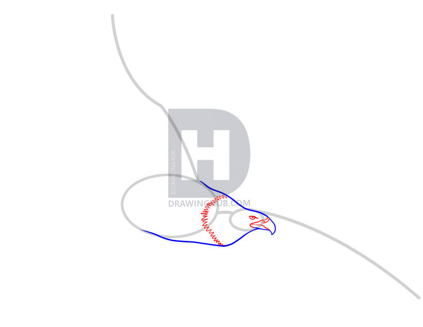 854x661 How To Draw An Eagle, Step