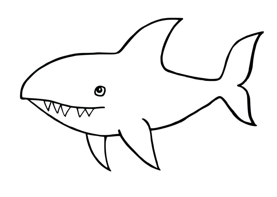 Basic Shark Drawing | Free download on ClipArtMag