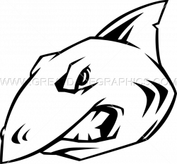 250x233 Drawing Shark Basic, Picture