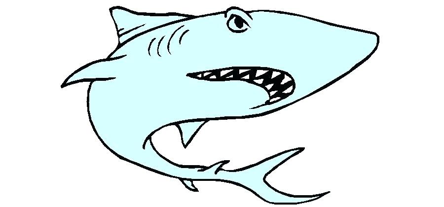 Basic Shark Drawing | Free download on ClipArtMag