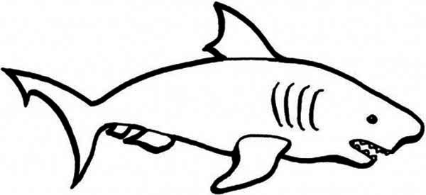 600x275 A Simple Drawing Of Blue Shark Coloring