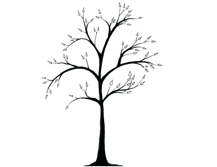 736x567 Family Tree Design Simple Diagram Template A Word