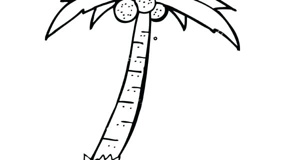 570x320 Simple Drawing Tree Tree Basic Tree House Drawing