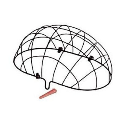 400x400 Basil Pluto Dome