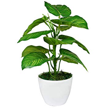 355x355 Buy Reiki Crystal Products Artificial Plant With Pot Indoor Plant