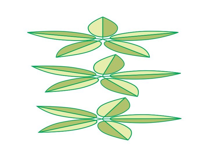 720x540 Drawing Plants