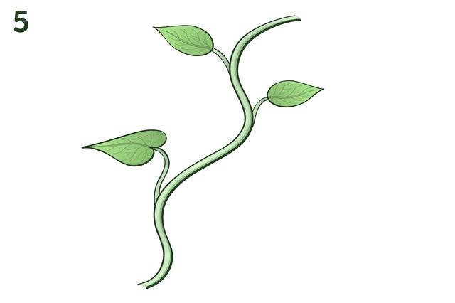 640x426 How To Draw Ivy Leaves Image Titled Draw A Jungle Vine Step Draw