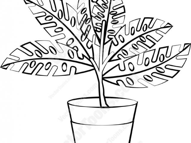 640x480 Pot Plant Clipart