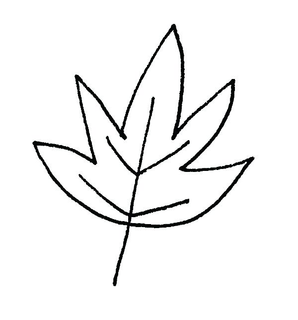 600x644 Drawings Of Leafs