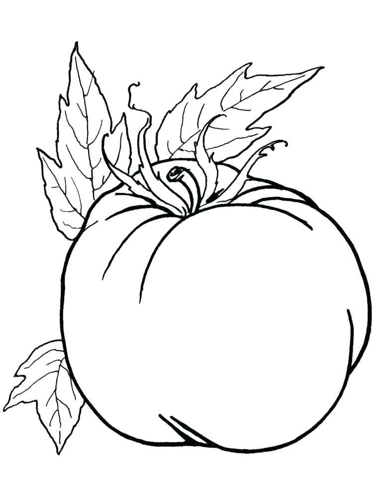 750x1000 Basil Drawing Vegetable For Free Download