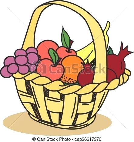 442x470 A Basket Of Fruits Drawing