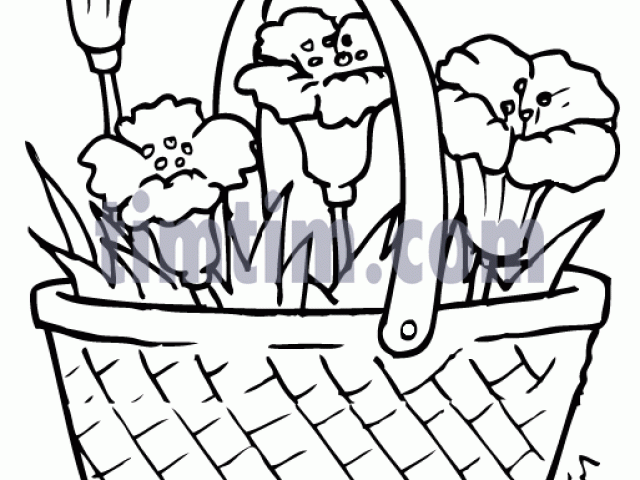 640x480 Drawing Of Basket Of Flowers