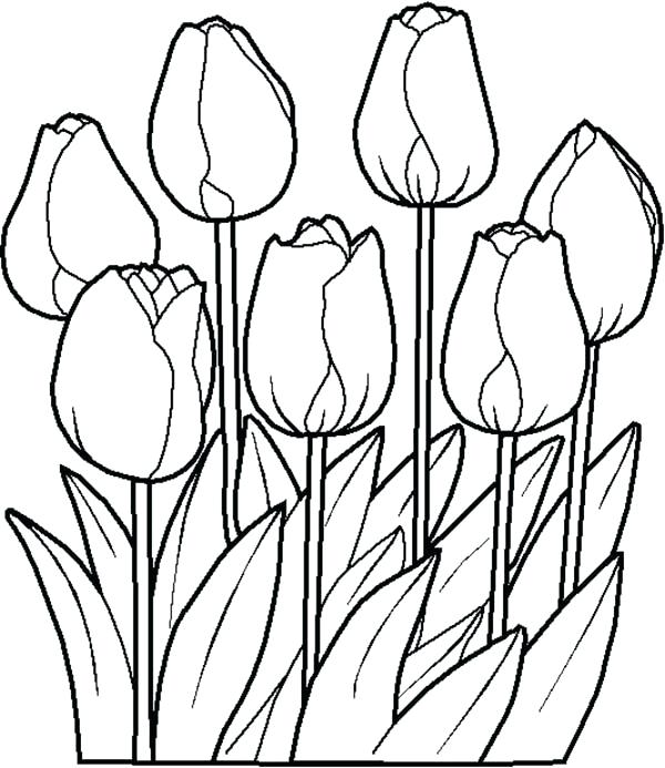 600x693 Flower Basket Coloring Pages Coloring Pages Of Pages Flower Basket
