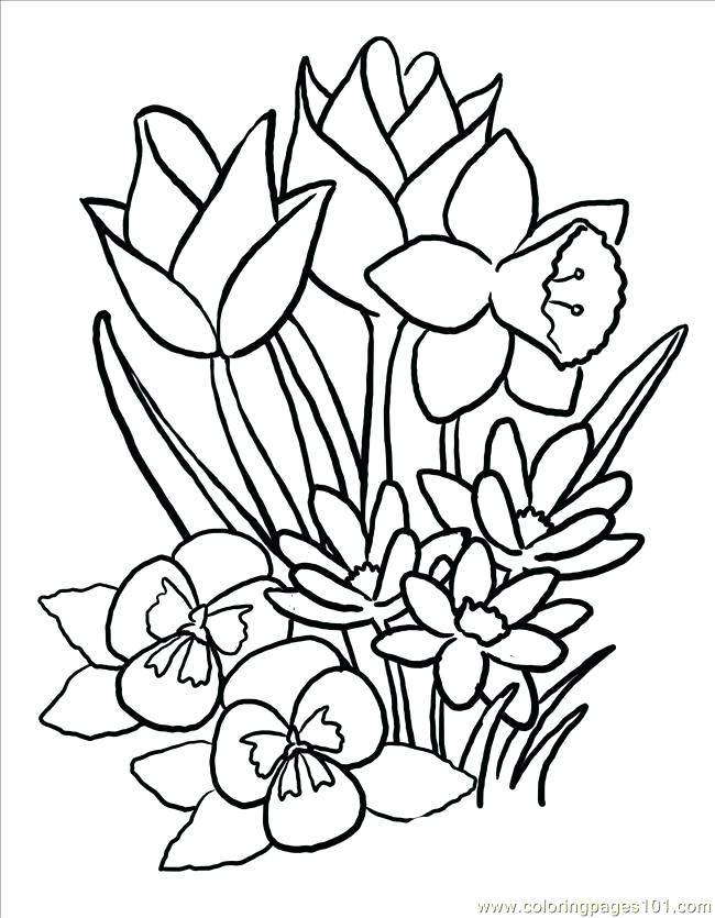 650x835 Flower Basket Coloring Pages Spring Basket Coloring
