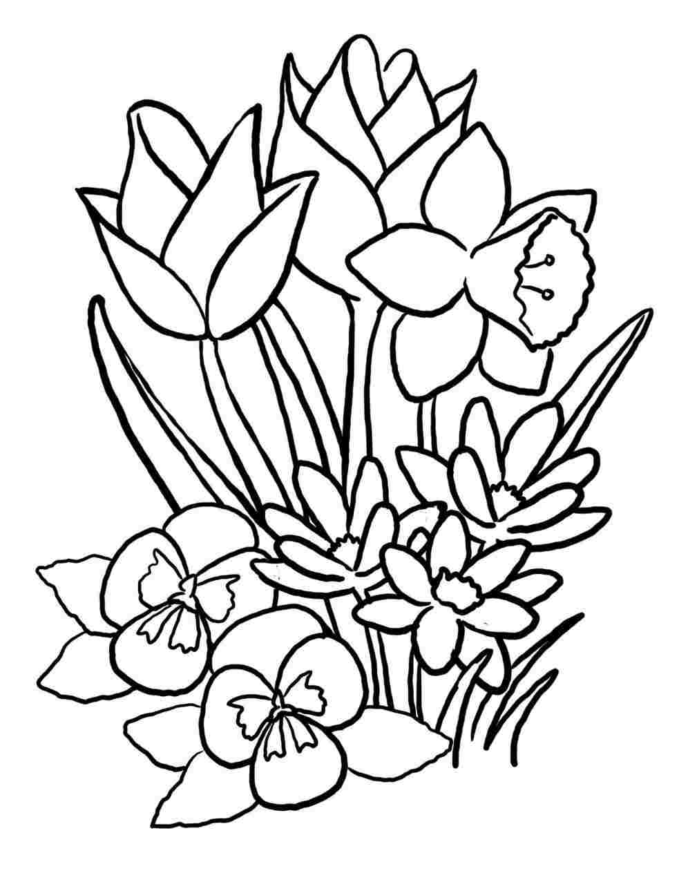 983x1264 Flower Basket Drawing Kids