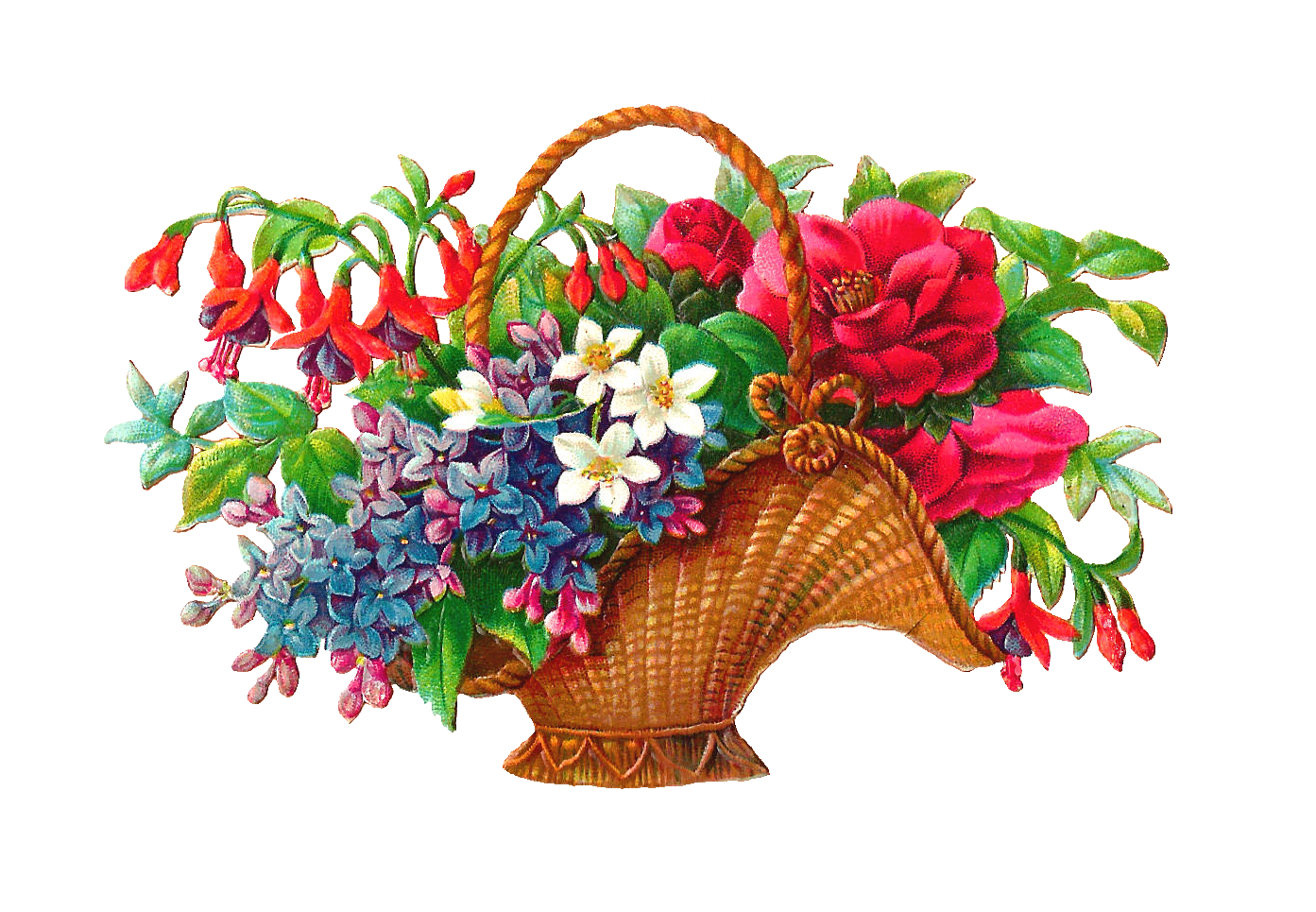 1393x965 Prehistoric Drawing Flower Transparent Png Clipart Free Download