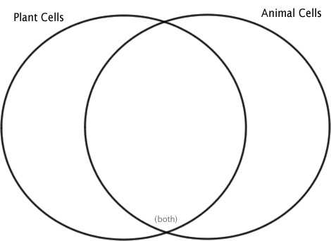 470x342 Diagram Of Plant And Animal Cell With Labels Fresh Animal Cells