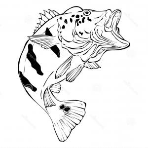 300x300 Man In Boat Fishing For Largemouth Bass Vector Art Orangiausa