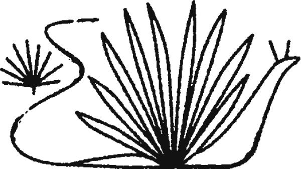 600x337 Bass Boat Carpet Kits