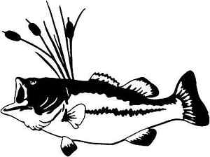 300x224 Bass Decal Stof