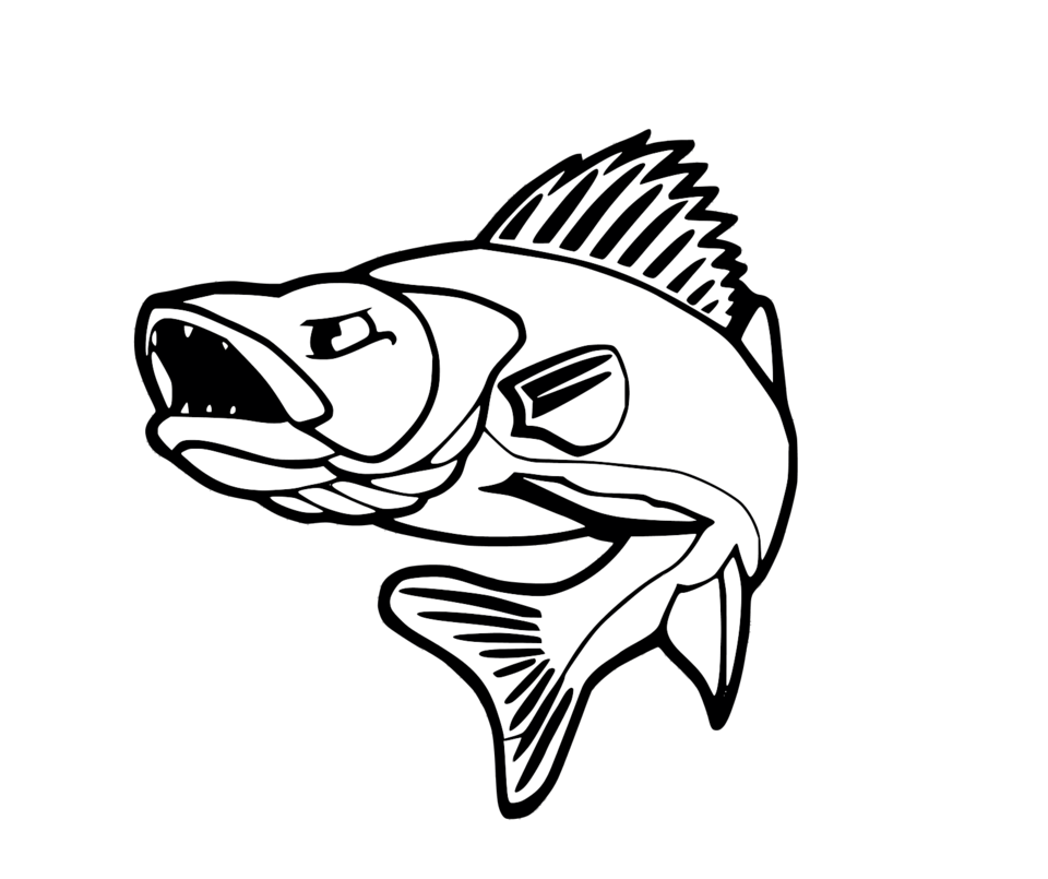 960x805 Collection Of Free Bass Drawing Walleye Download On Ui Ex