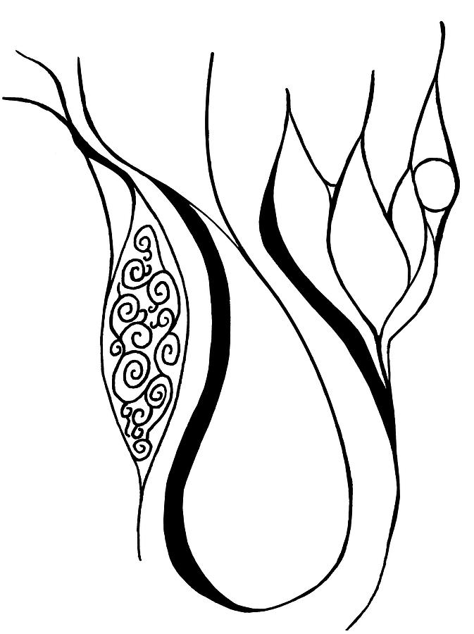 673x900 Teardrop Flower Drawing