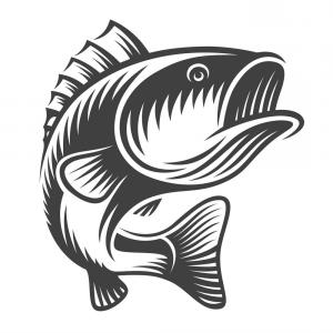 300x300 Top Monochrome Fish Bass Logo Vector Drawing Catchsplace
