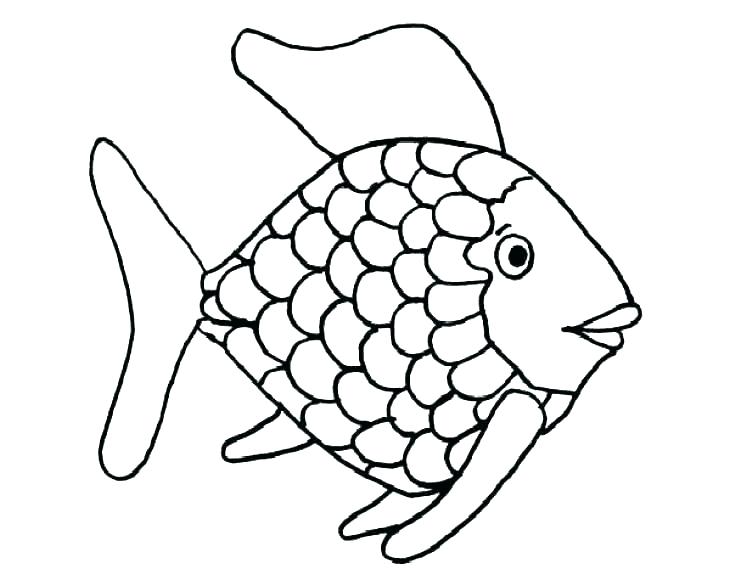 730x569 Bass Drawing At Free For Personal Use Coloring Pages Fish