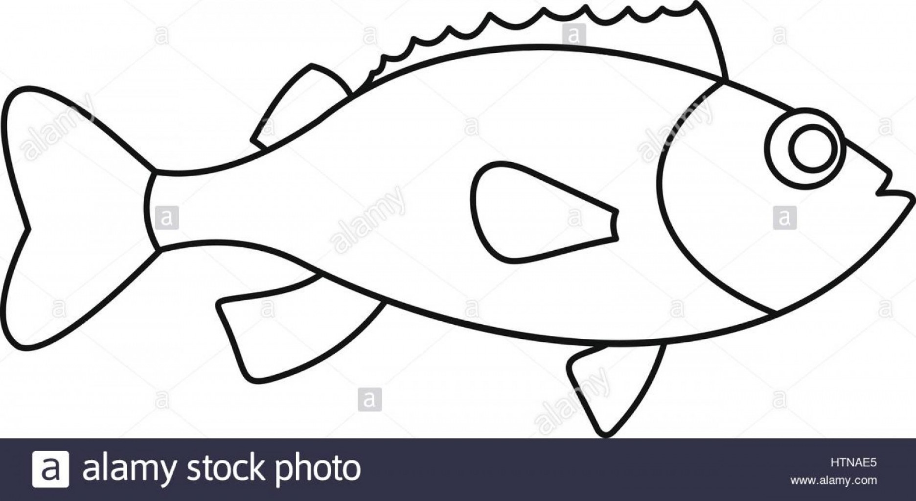 1872x1023 Bass Fish Outline Vector Studiogrfx