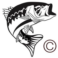 236x236 Largemouth Bass Drawing School Clipart Best Of Best Fishing