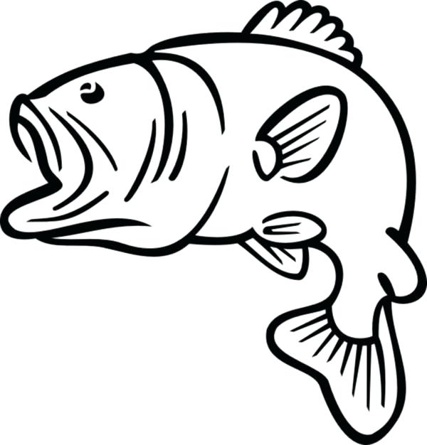 600x626 outline fish outline fish pixel perfect vector icon outline