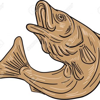 336x336 Practice Drawing Bass Clef Drop Drum Fish In Pencil Big Clarinet