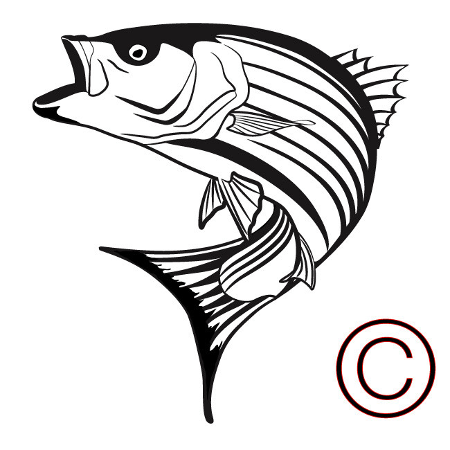650x650 Awesome Bass Fish Clipart Charte