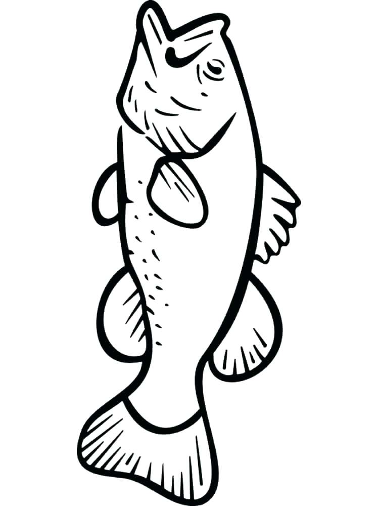 Bass Fish Drawing | Free download on ClipArtMag