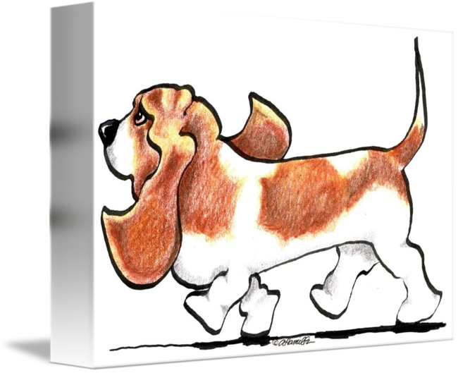 650x529 Busy Basset Hound
