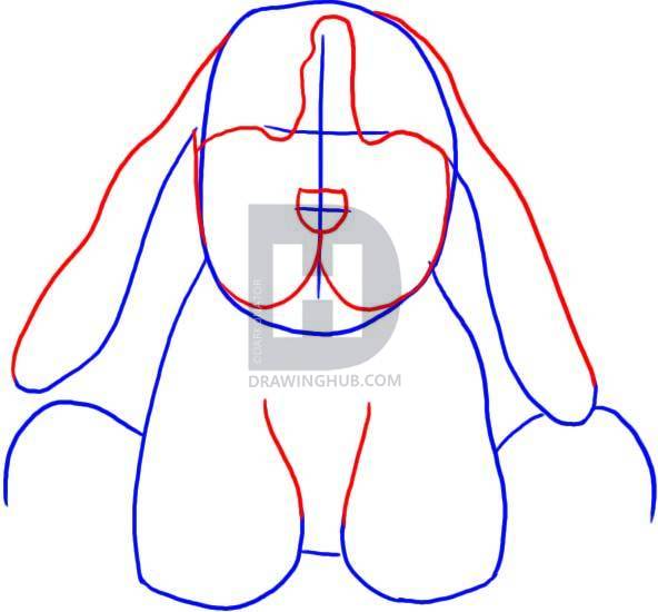 592x550 How To Draw Basset Hound, Step