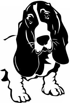 242x355 appalachian big foot basset hounds