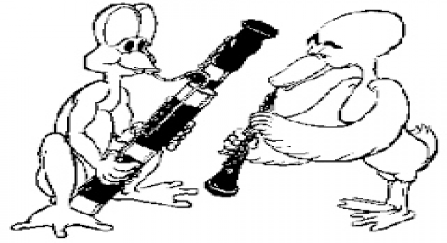 880x480 duck frog oboe bassoon edexploresrq