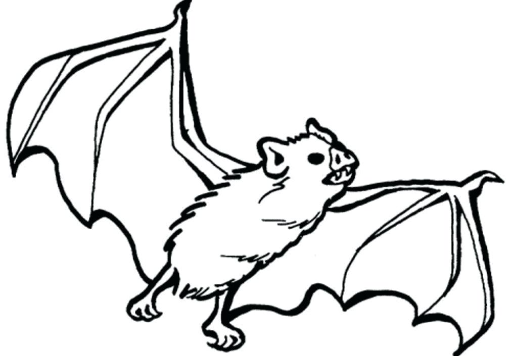 1015x705 Bat Drawings