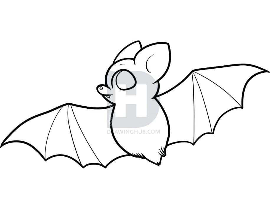 915x720 Drawing Of Bat Draw Vampire Bat Drawing Bat Wings
