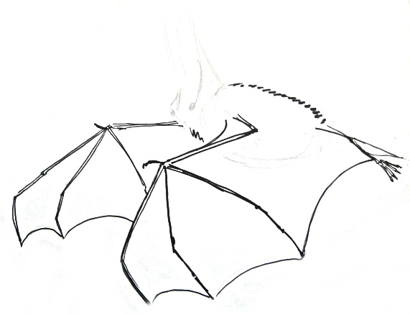 410x315 How To Draw A Bat