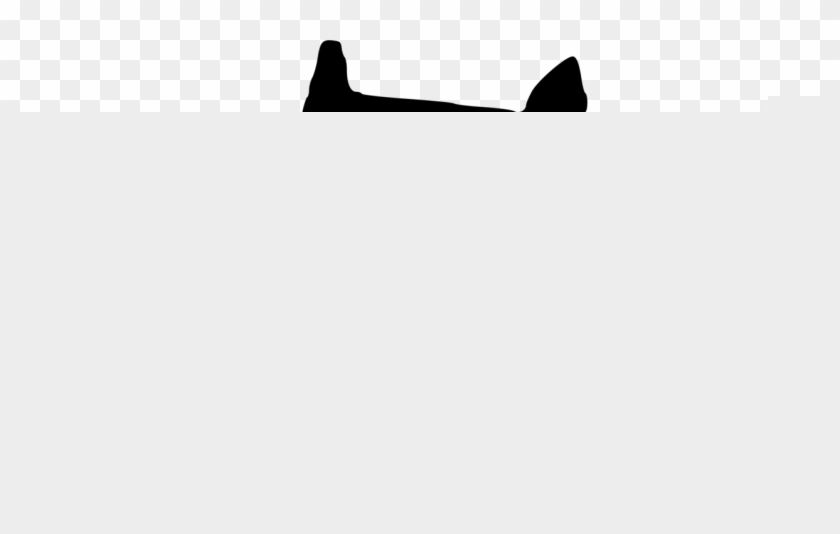 840x534 Tree Bat Cat Drawing Silhouette