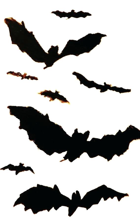 568x900 Bats Drawing Bat For Drawing Drawing Bats Pumpkin