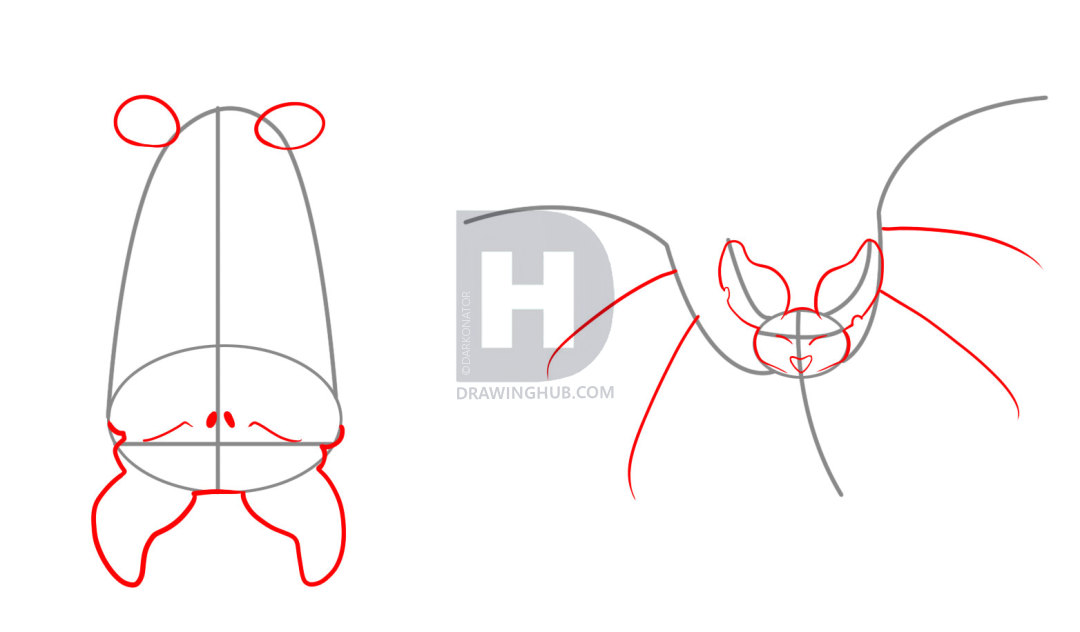 1080x632 How To Draw Bats, Step