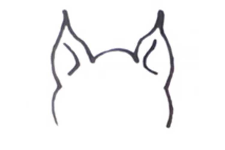 750x500 How To Draw A Bat Cartoon, In Bright Pictures, Realistic And Cute