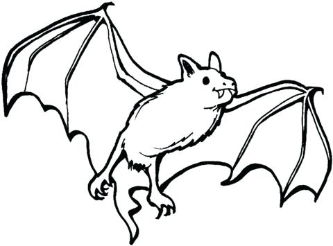 480x355 vampire bat drawing draw vampire bat vampire bat cartoon drawing